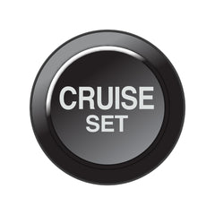 LINK 101-0260 - CAN Keypad Insert - Cruise Set