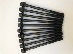 Victor Reinz - 14-32241-01 Cylinder Head Bolts - R53 52 50