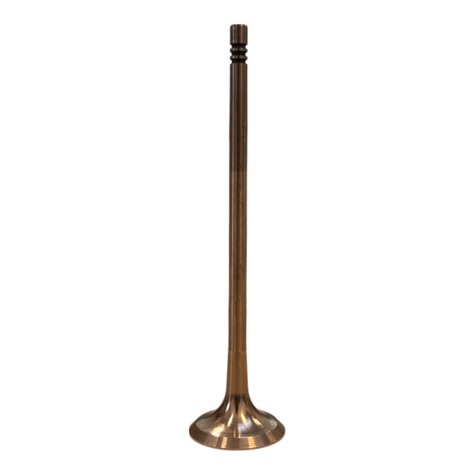 Mahle Exhaust Valve R56