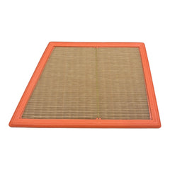 Mann Air Filter F56