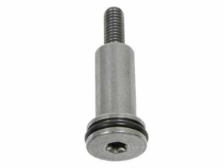 Picture of MINI - Timing Chain Guide Bolt - R56 - N14 - 11317534768