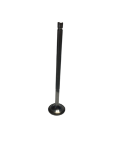 Picture of 1320 Spec G&S Exhaust Valve